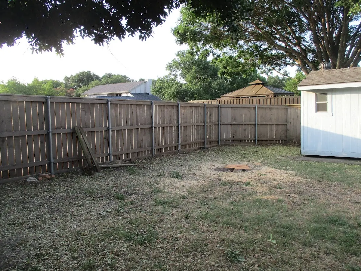 Cleared yard after professional tree removal in Driftwood